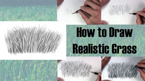 drawn grass|how to draw realistic grass.